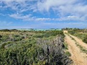 Stavros Kreta, Stavros: Riesiges Grundstück in Strandnähe zu verkaufen Grundstück kaufen